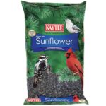 Is Your Bird Food Really Good for Birds? What to Avoid & Best Picks