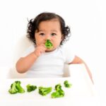 A baby happily eats broccoli in a high chair, showcasing iron-rich vegetable options for toddlers starting solids.