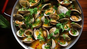 A close up view of a freshly caught Quahog clam, showcasing its size and texture.