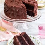 A devil's food cake on a cake stand, showcasing its rich chocolate frosting and tempting appearance.