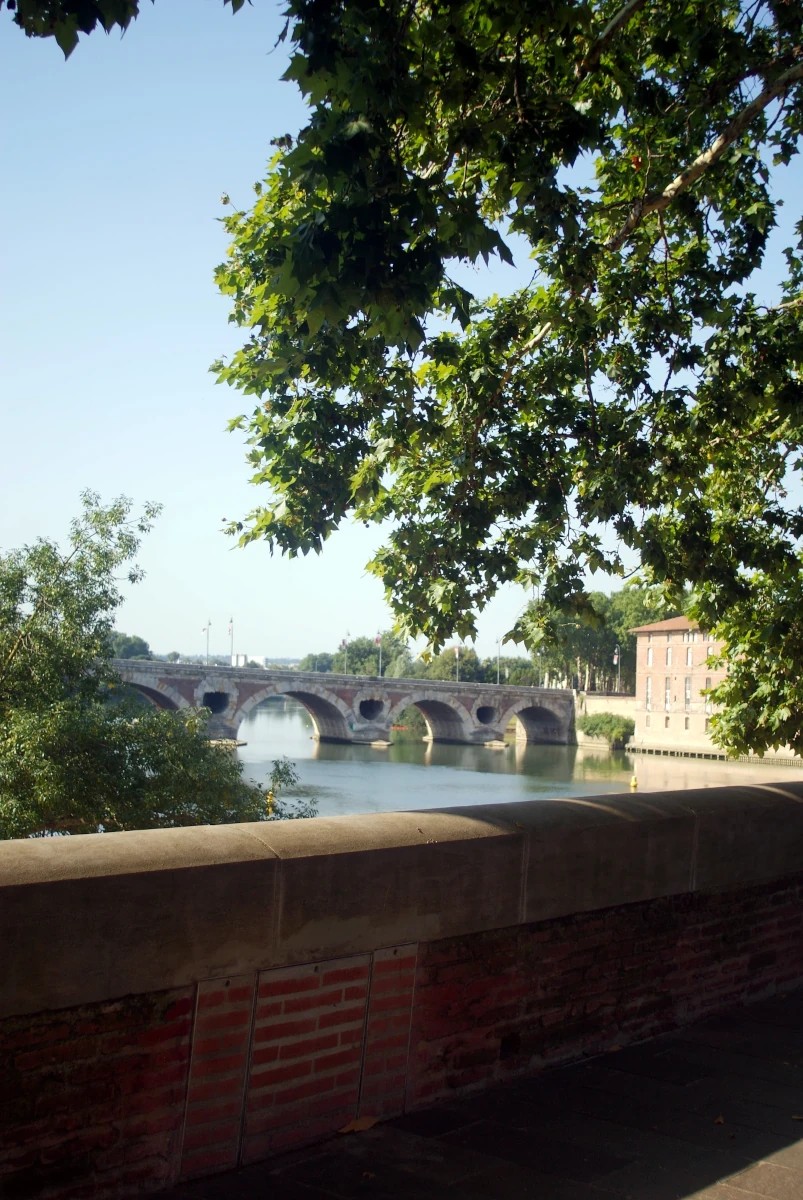 A picturesque street in Toulouse showcasing traditional terracotta buildings.