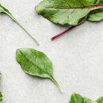 A vibrant close-up of leafy green vegetables including spinach, romaine lettuce, and kale.