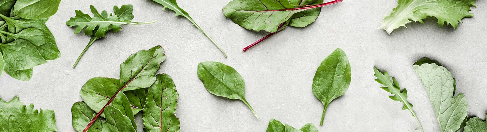 A vibrant close-up of leafy green vegetables including spinach, romaine lettuce, and kale.