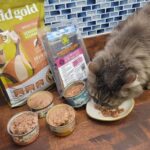 Best High Fiber Cat Food