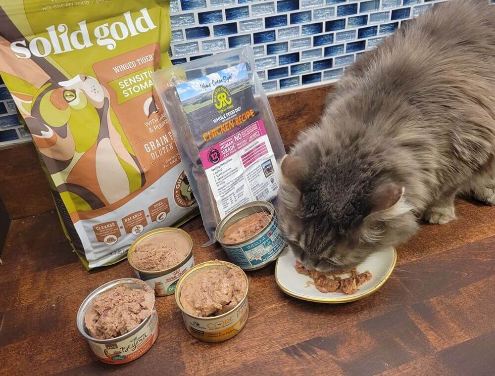 Best High Fiber Cat Food