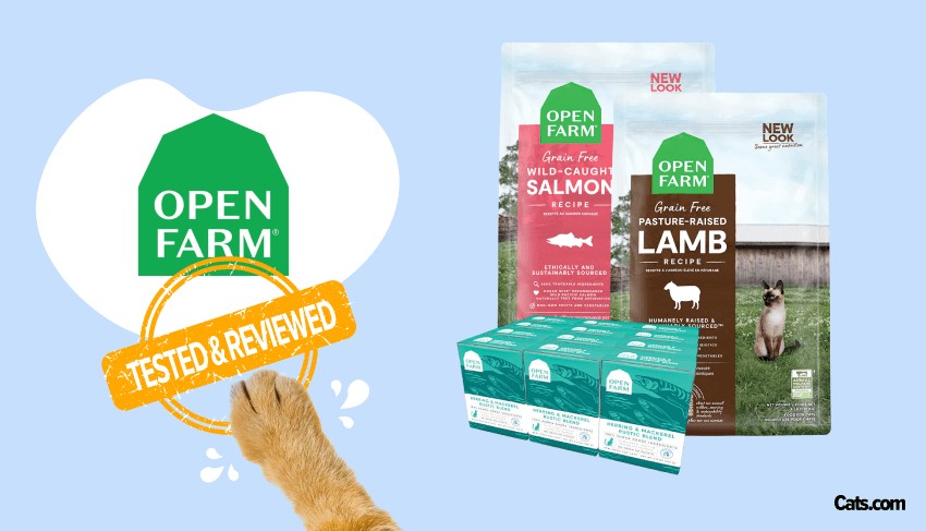 Brand Review Open Farm