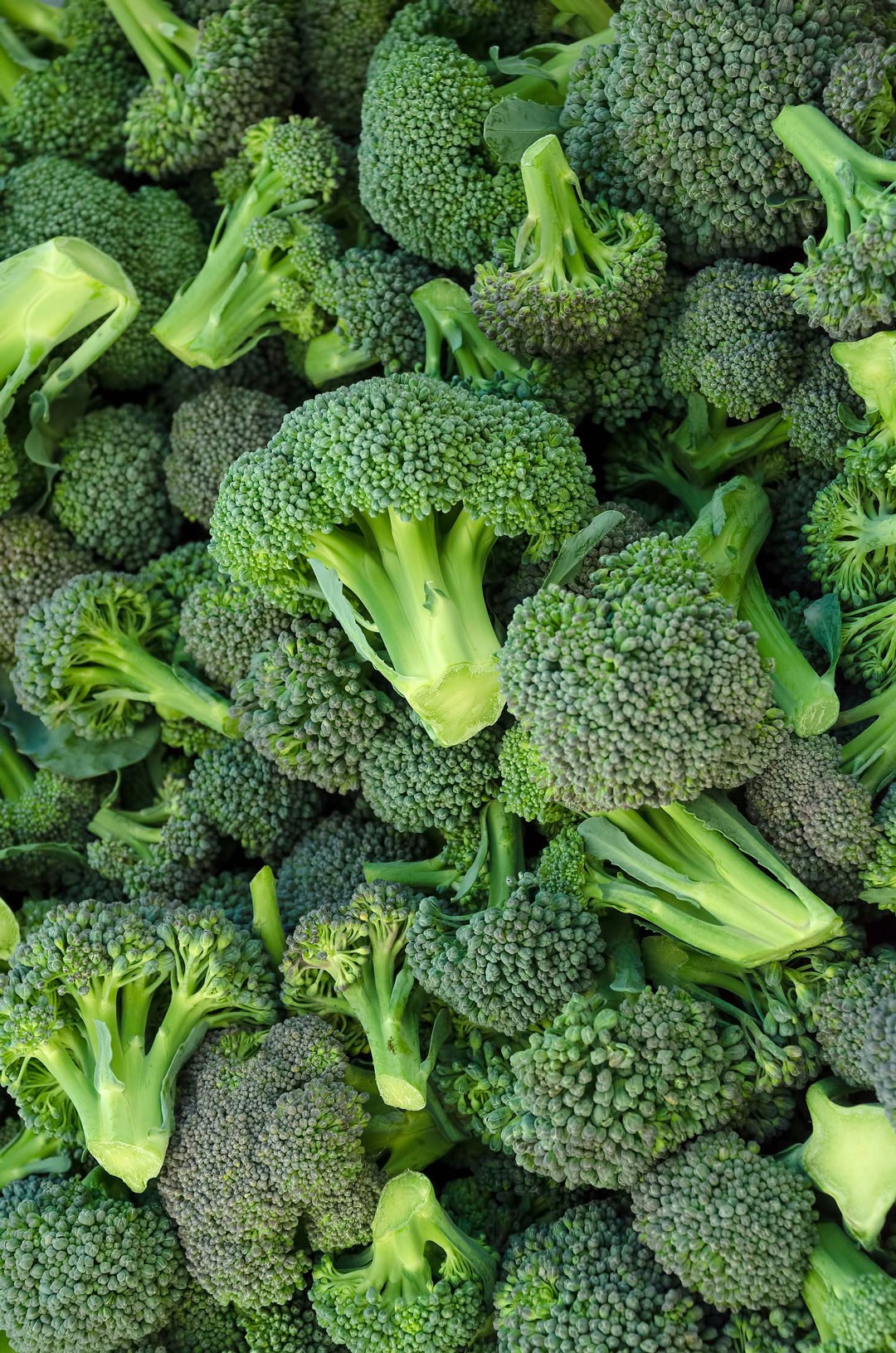 broccoli florets close-up showcasing Co+op Deals discounts