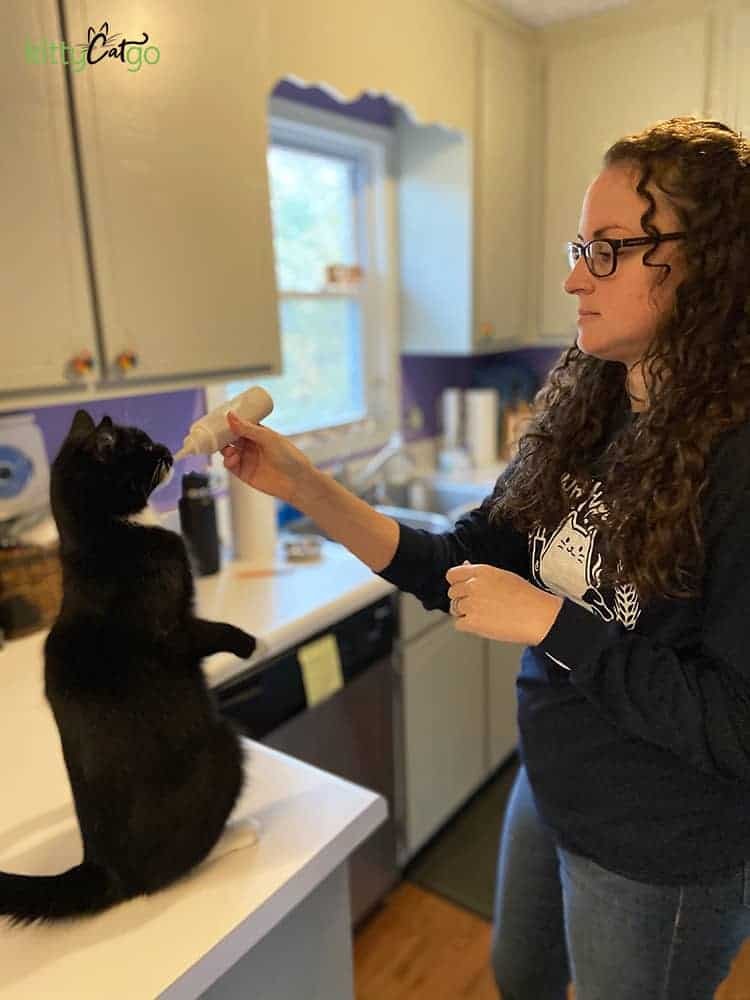 cat enjoying homemade churu lickable cat treat from reusable bottle