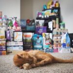 Cat Food Product Reviews