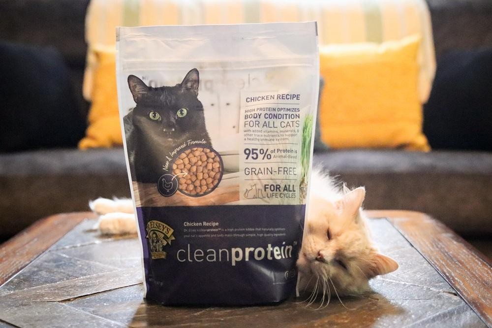 Close-up of Dr. Elsey's cleanprotein Chicken Formula Grain-Free Dry Cat Food kibble, showing texture and ingredients