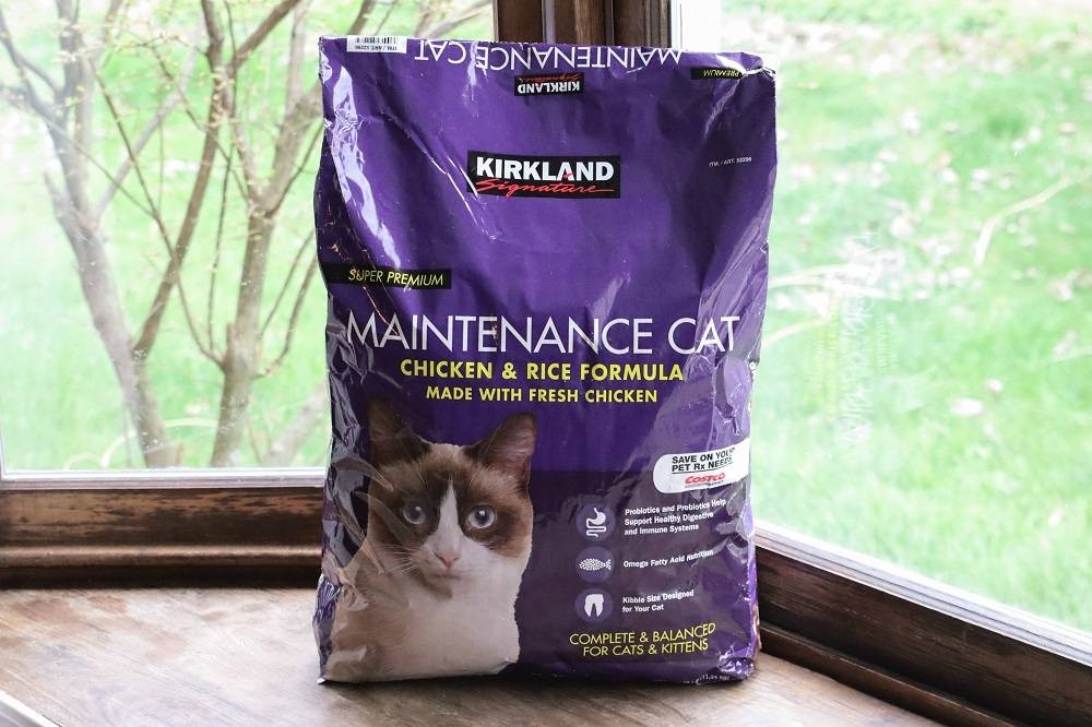 Close-up of Kirkland Signature Chicken and Rice Cat Food kibble