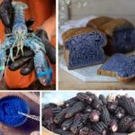 Collage of Blue Foods