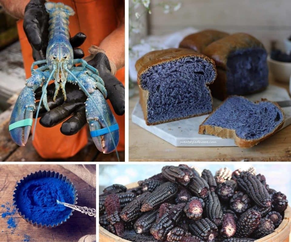 Collage of Blue Foods