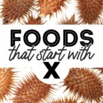 Collage that says foods that start with X and includes images of xacuti, xoi, and xocolatl