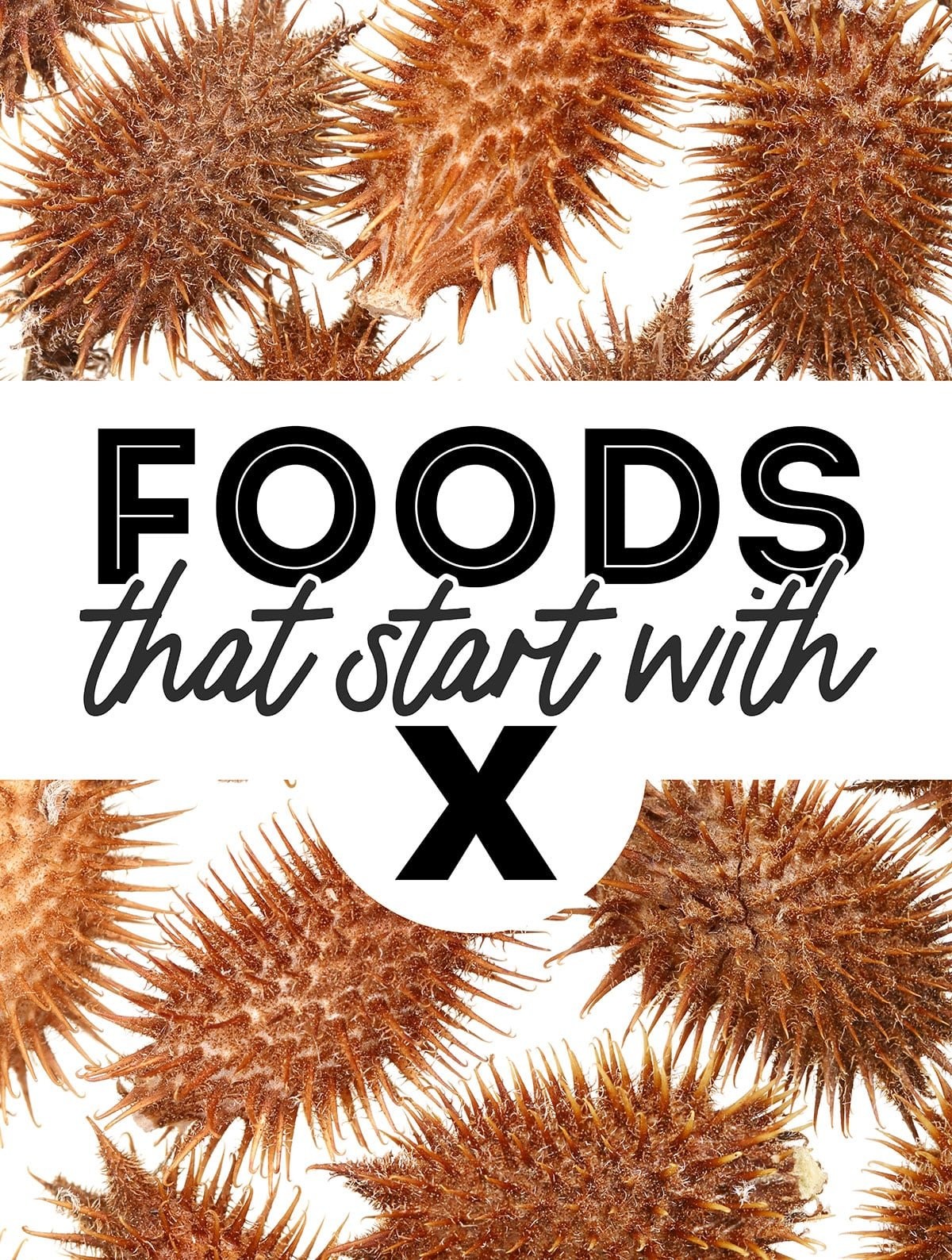 Collage that says foods that start with X and includes images of xacuti, xoi, and xocolatl