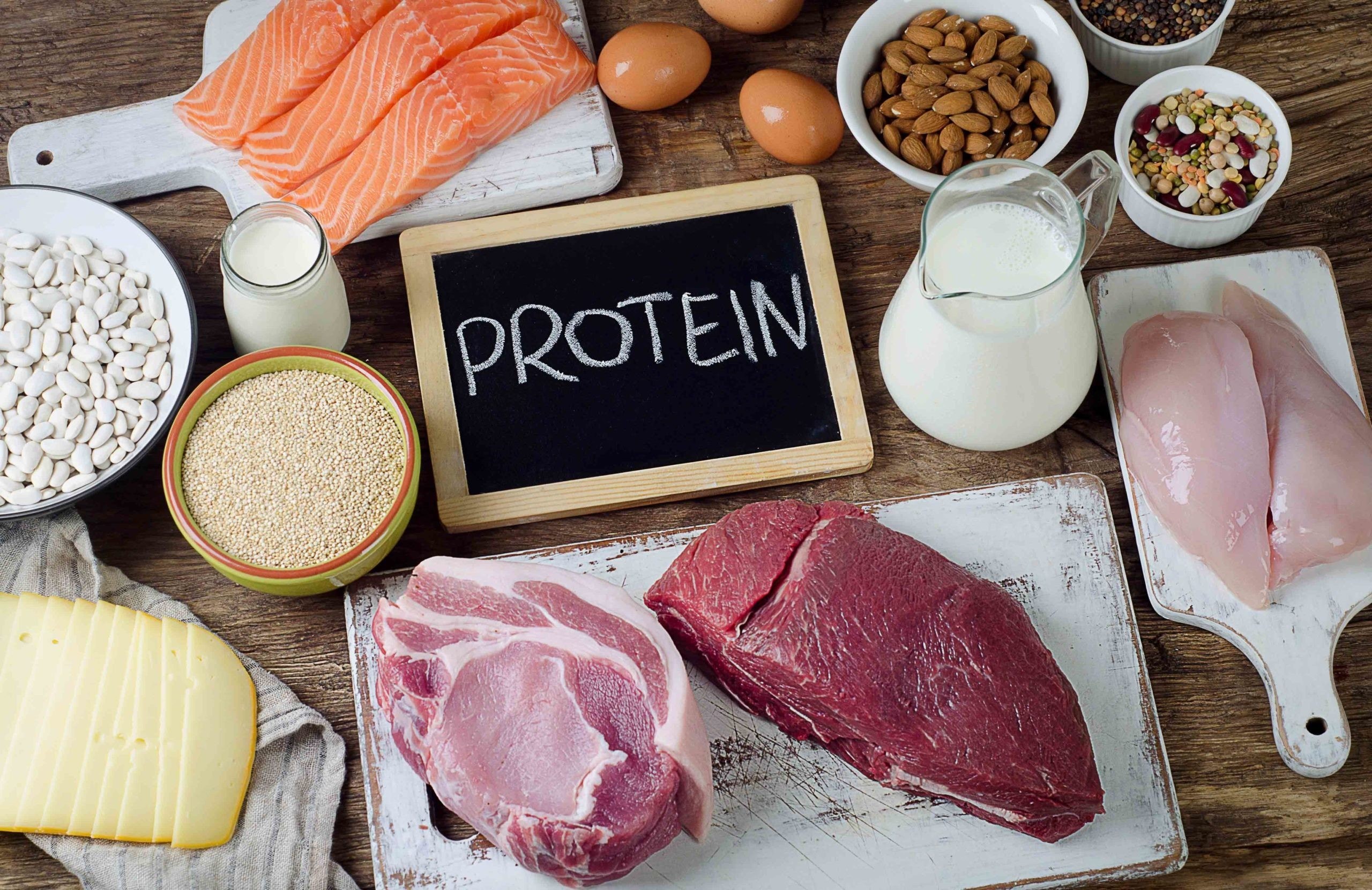 Diverse protein nutrition food sources including meat, eggs, legumes, and dairy illustrating the importance of a balanced diet for protein intake.