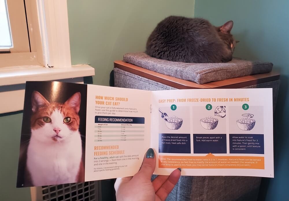 Every order from Dr. Marty’s comes with a handy guide that tells you how to transition your cat and provides tips for feeding. Kate Barrington / Cats.com