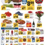 Food Lion weekly ad cover featuring various sale items