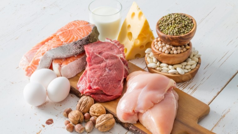 Food sources of protein and creatine.