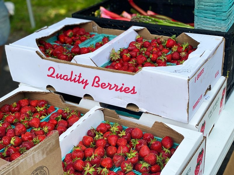 Fresh strawberries, a common product distributed by food distributors in the USA