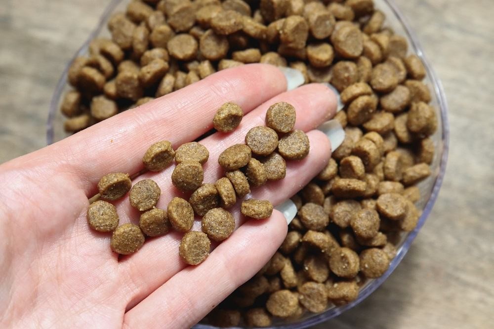 Hand pouring Kirkland Signature Chicken and Rice Cat Food into bowl