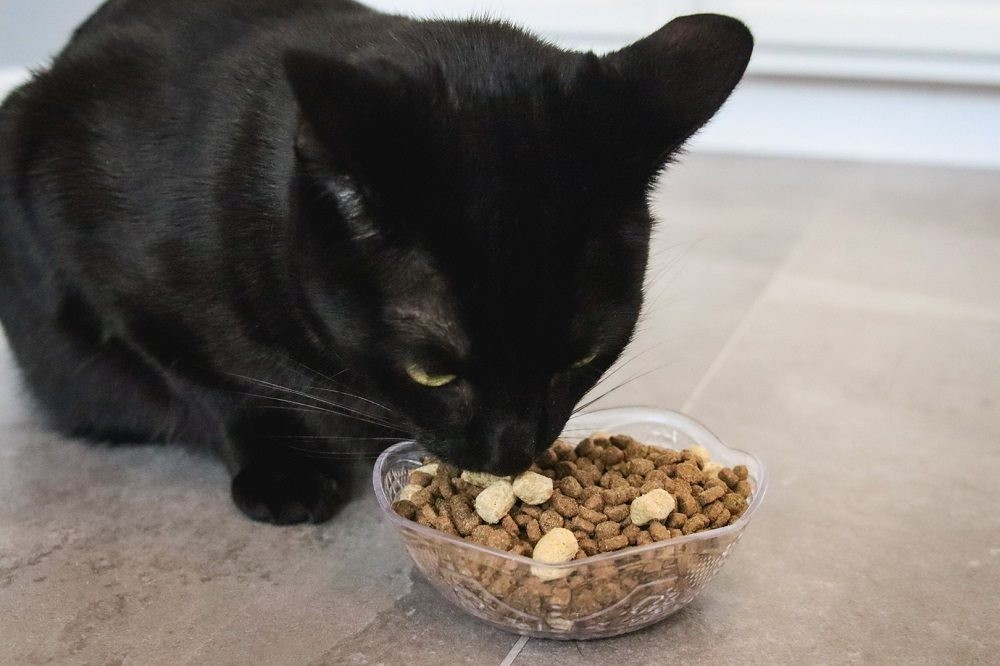 Hand scooping Open Farm RawMix Open Prairie Recipe dry cat food into bowl