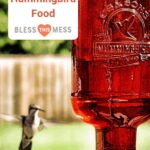 Homemade hummingbird food in a clear feeder hanging in a garden, surrounded by green foliage and colorful flowers.