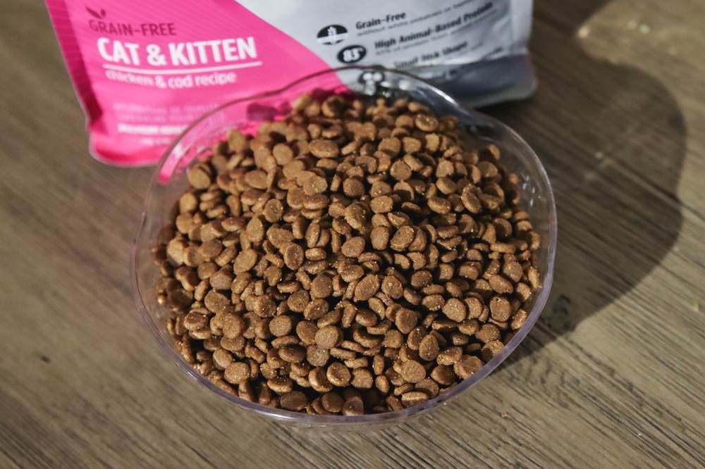 Nulo Freestyle Grain Free Cat &amp; Kitten Chicken &amp; Cod Recipe kibble in bowl