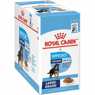 Royal Canin Large Puppy