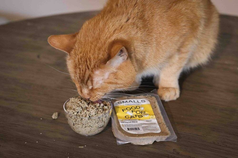 Smalls Ground Bird Fresh Cat Food