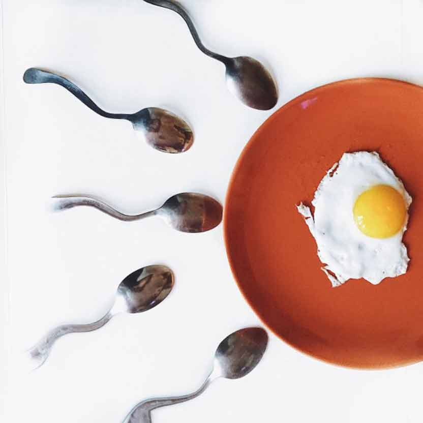 Sperm and eggs