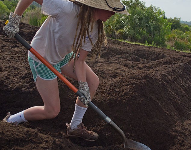 Students Getting Involved in the FGCU Food Forest