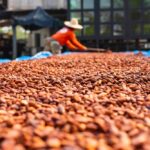 sun drying as a technique of food preservation