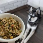 The Farmer’s Dog fresh dog food meal (Photo: Life With Klee Kai)