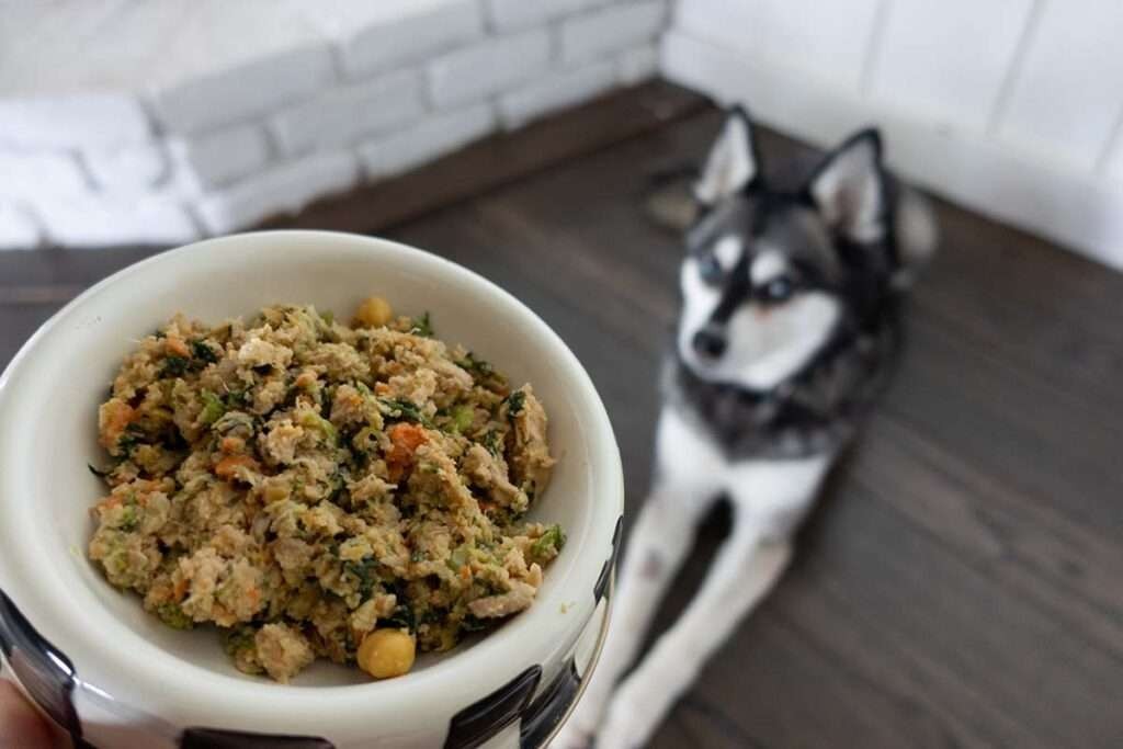 The Farmer’s Dog fresh dog food meal (Photo: Life With Klee Kai)