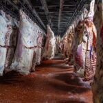 USDA Slaughterhouse