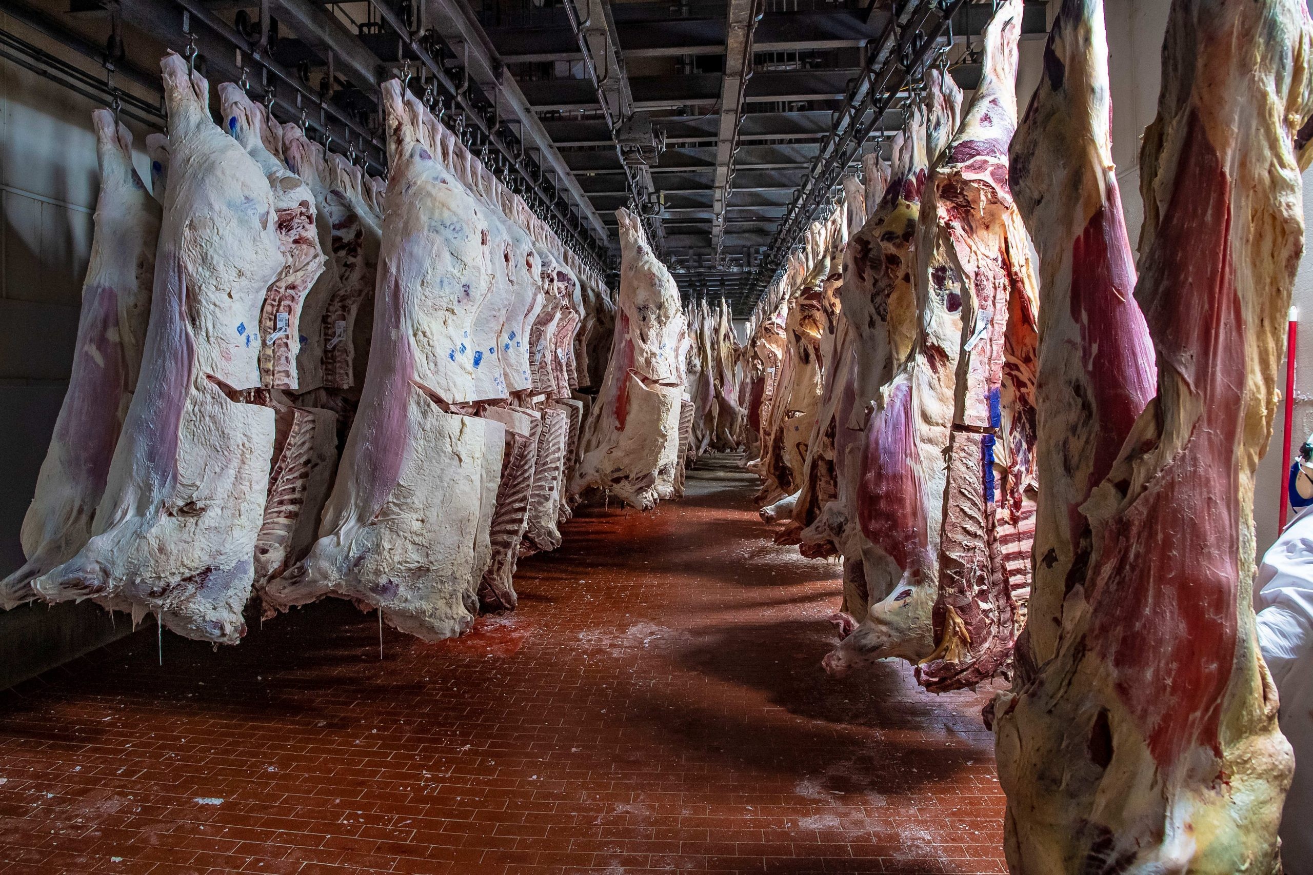 USDA Slaughterhouse