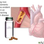 Variety of iron-rich heme food sources including beef, liver, and oysters