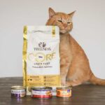 Wellness Cat Food products and cat