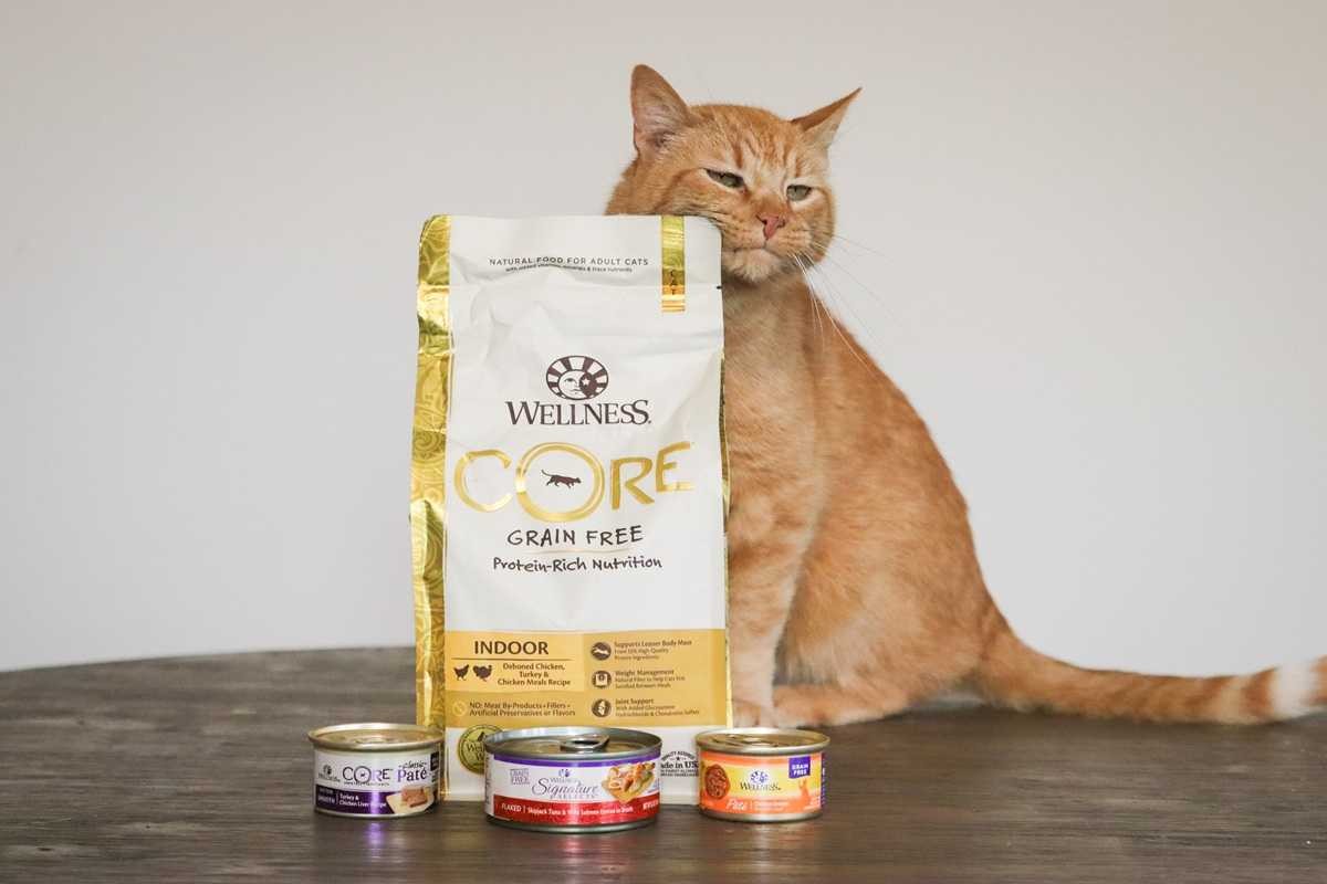 Wellness Cat Food products and cat