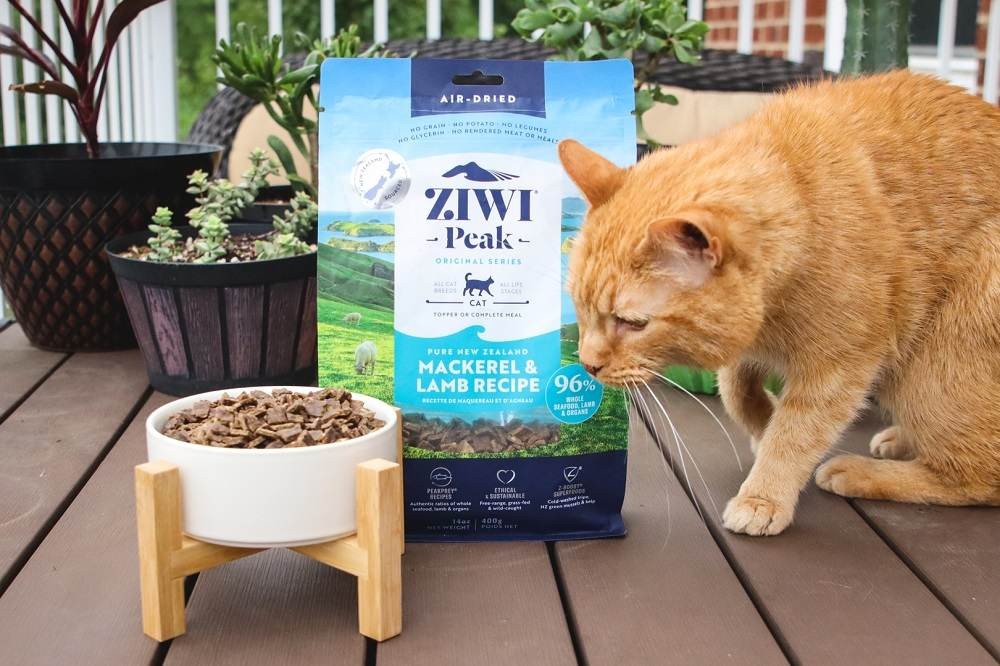 ZIWI Peak Air-Dried Mackerel & Lamb Recipe Cat Food in a cat bowl