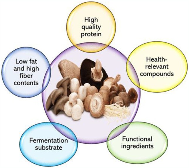 Nutritional Values of Edible Mushrooms