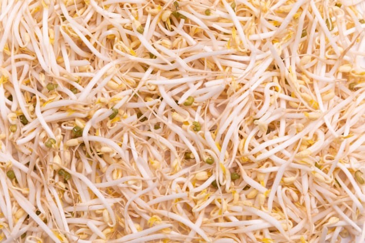 Bean sprouts lightly stir fried are a satisfying Chinese food