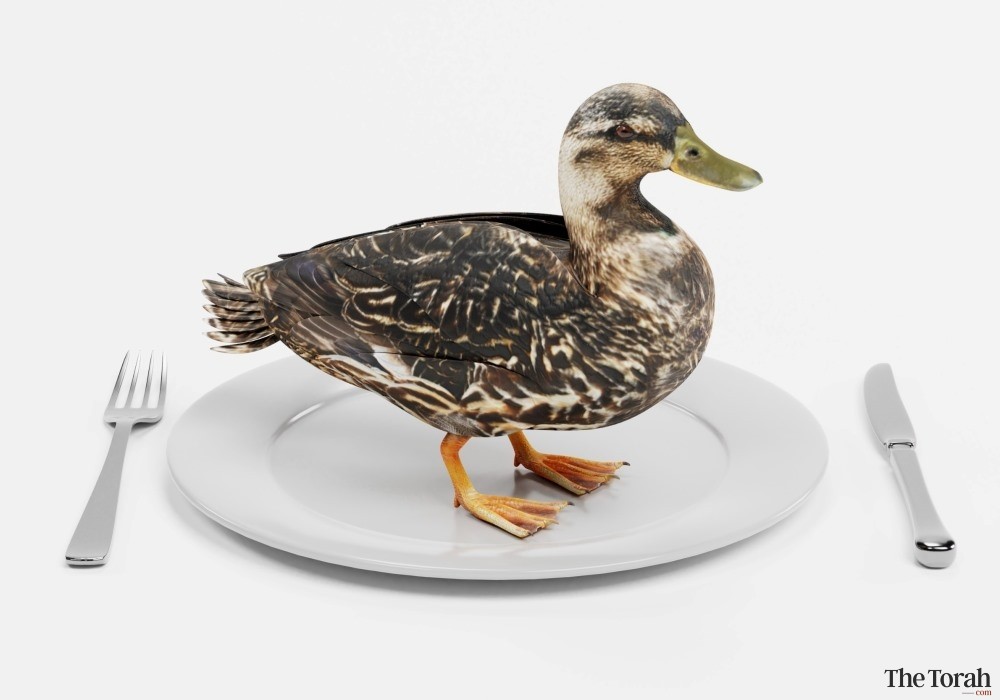 Peking duck