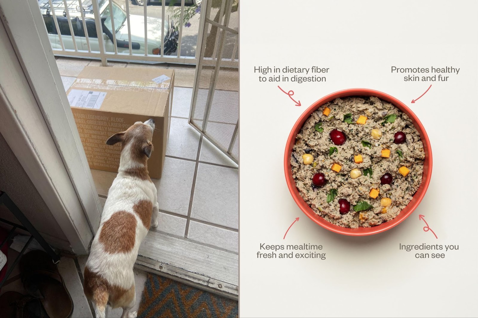 Ollie Dog Food Add-Ons
