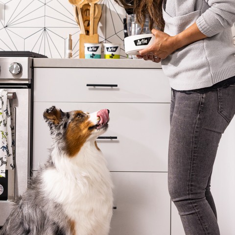 Woman preparing Artie dog food in a kitchen