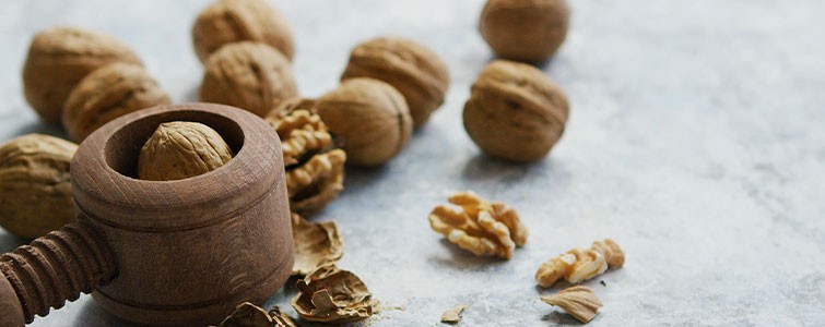 A handful of walnuts, showcasing their wrinkled texture and brain-boosting potential