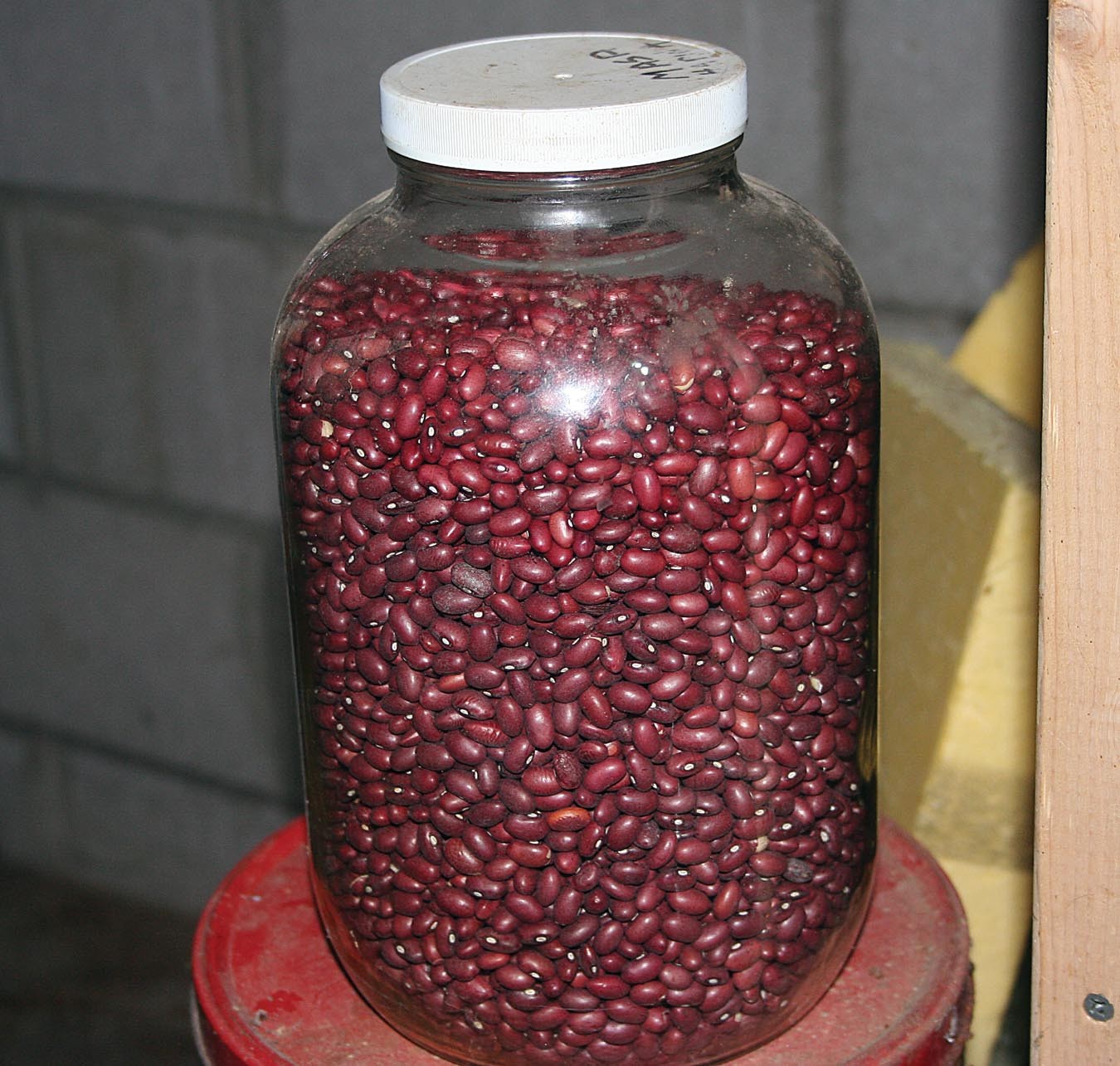 Assortment of dry foods in jars