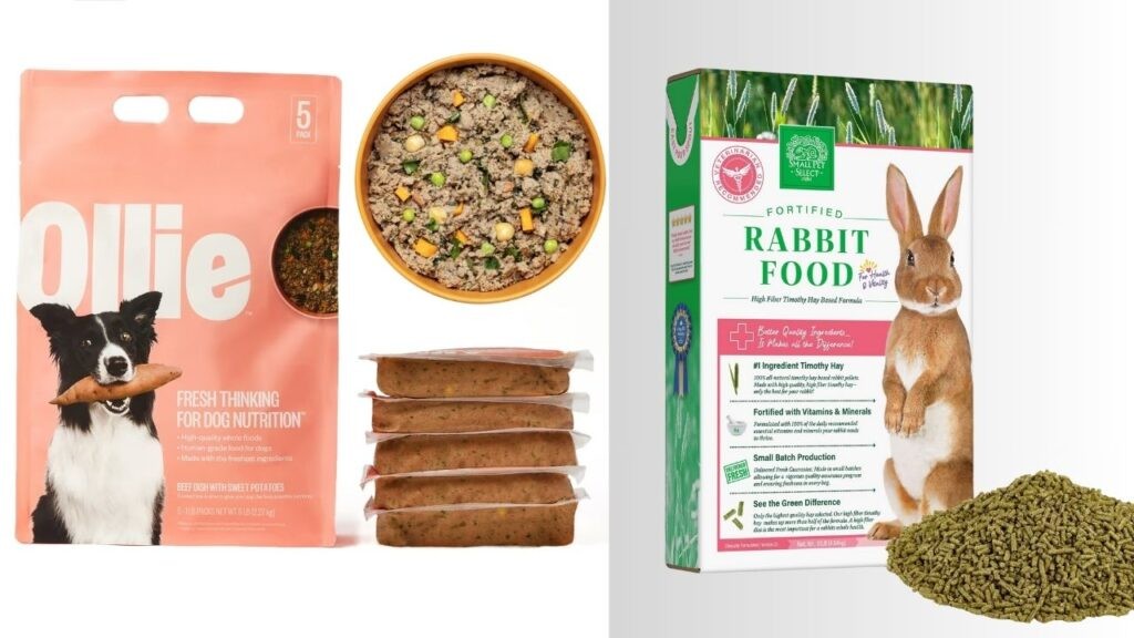 Detailed view of both dog food and rabbit food, highlighting the differences in texture and ingredients.