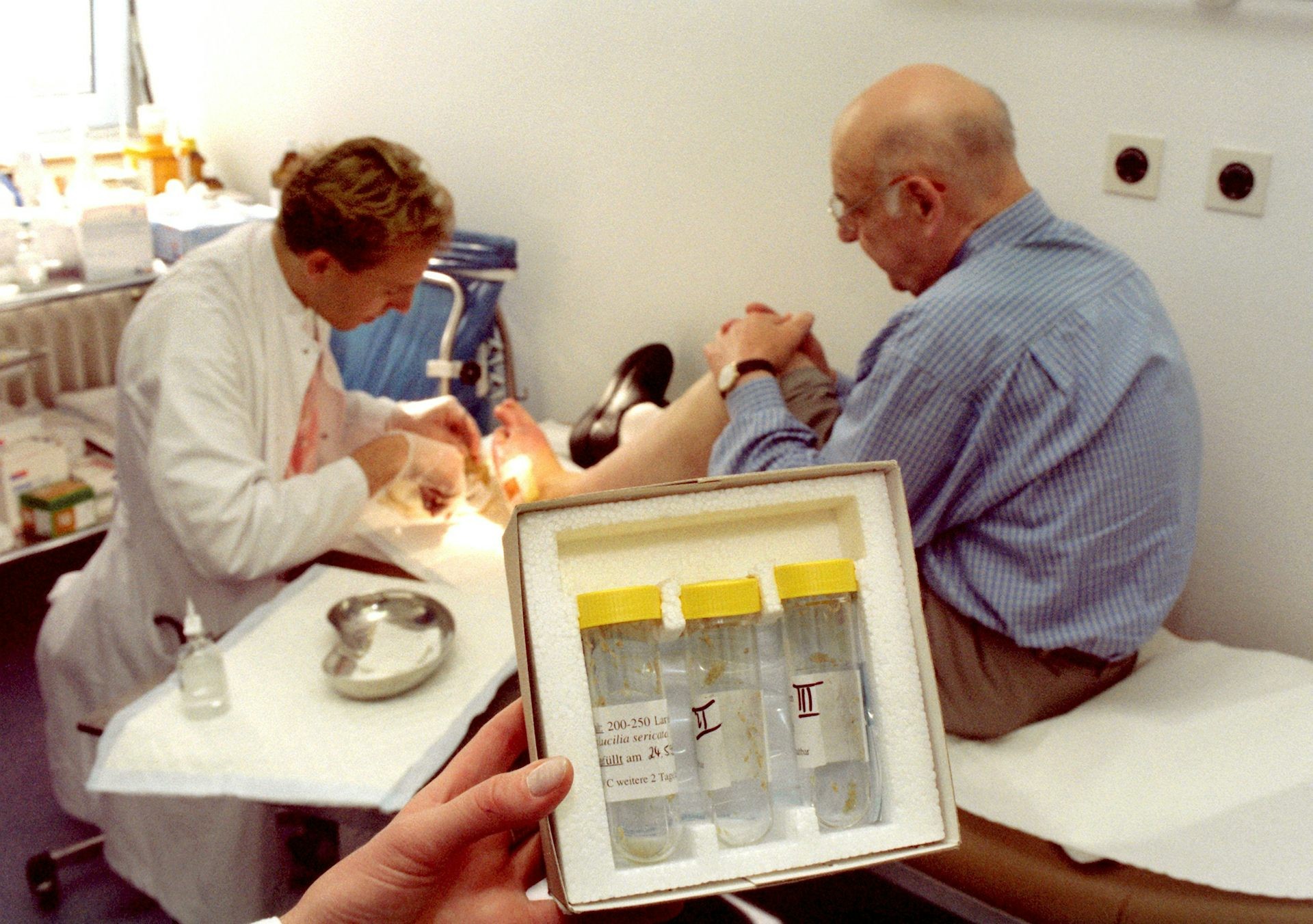 Doctor using sterile maggots to clean a wound, illustrating medical applications of flies.